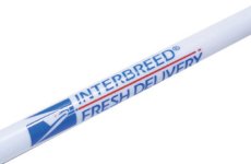 画像2: Deliver Logo Bic Pen ボールペン (2)