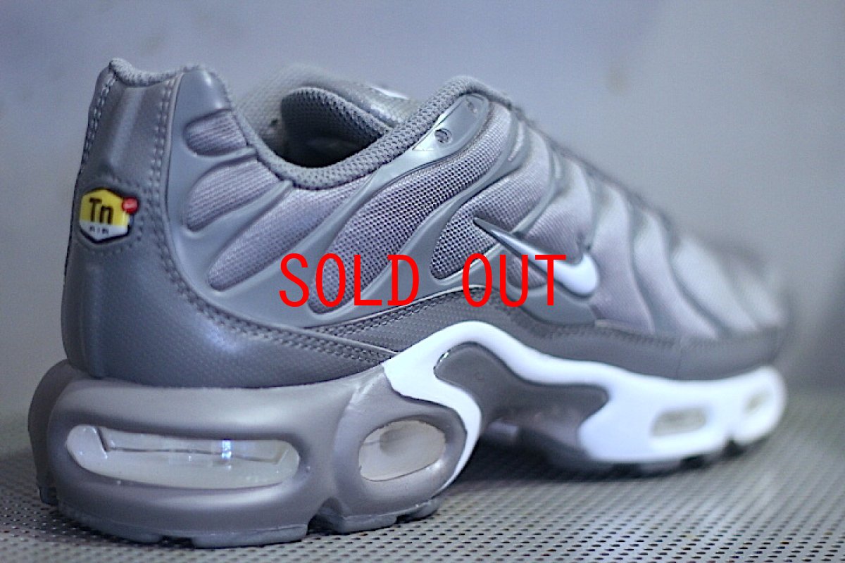 画像3: Nike(ナイキ) Air Max Plus Grey  (3)