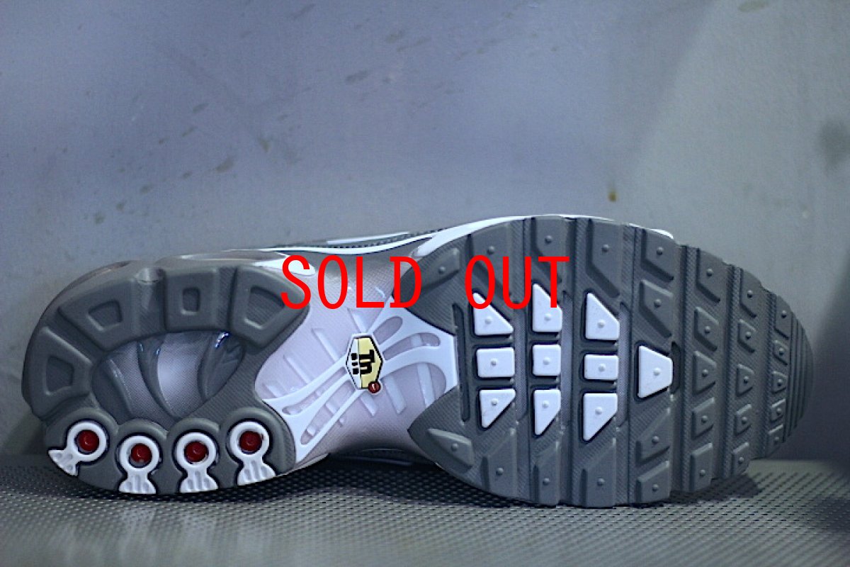 画像5: Nike(ナイキ) Air Max Plus Grey  (5)