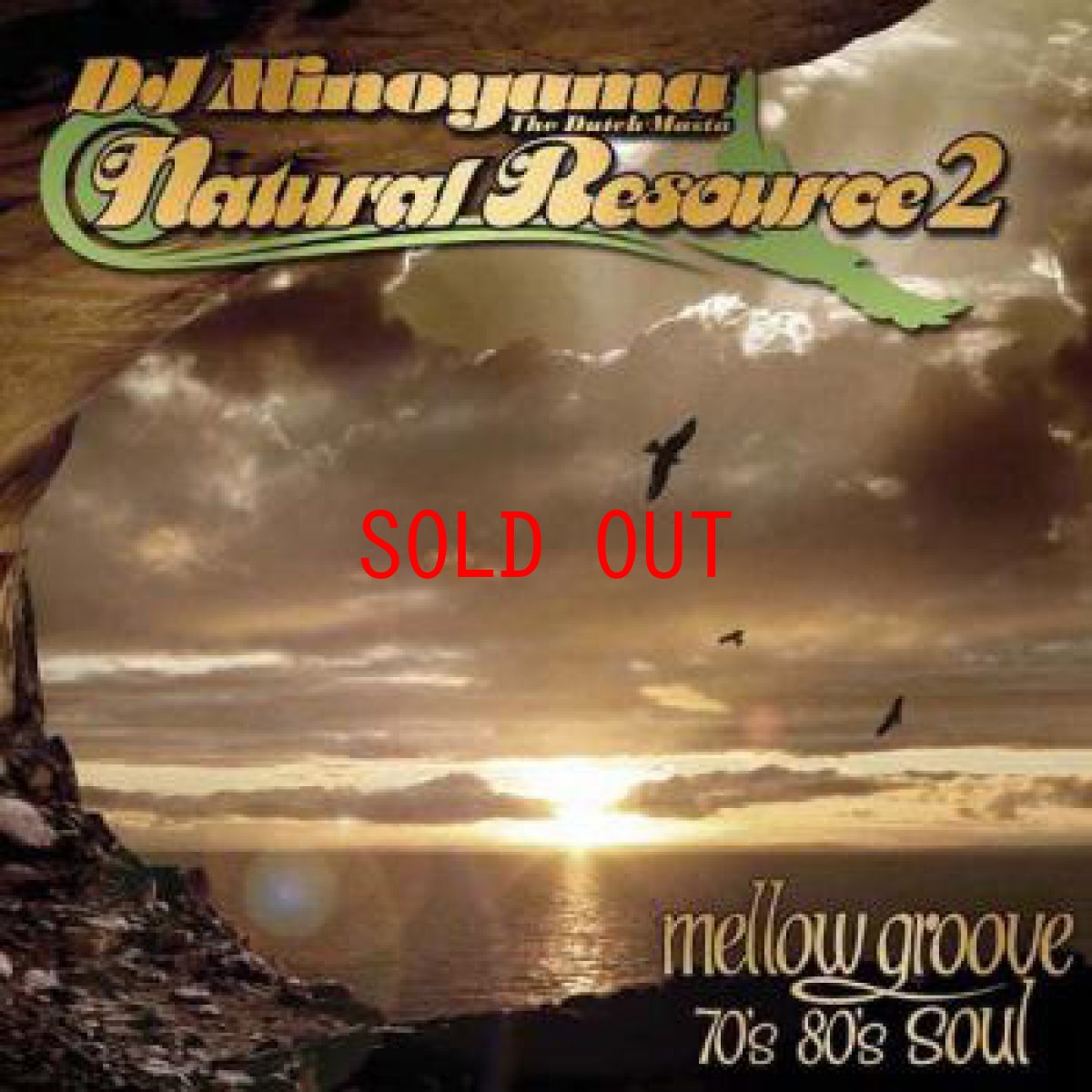 画像1: DJ MINOYAMA Natural Resource2 Mix CD ミックス (1)