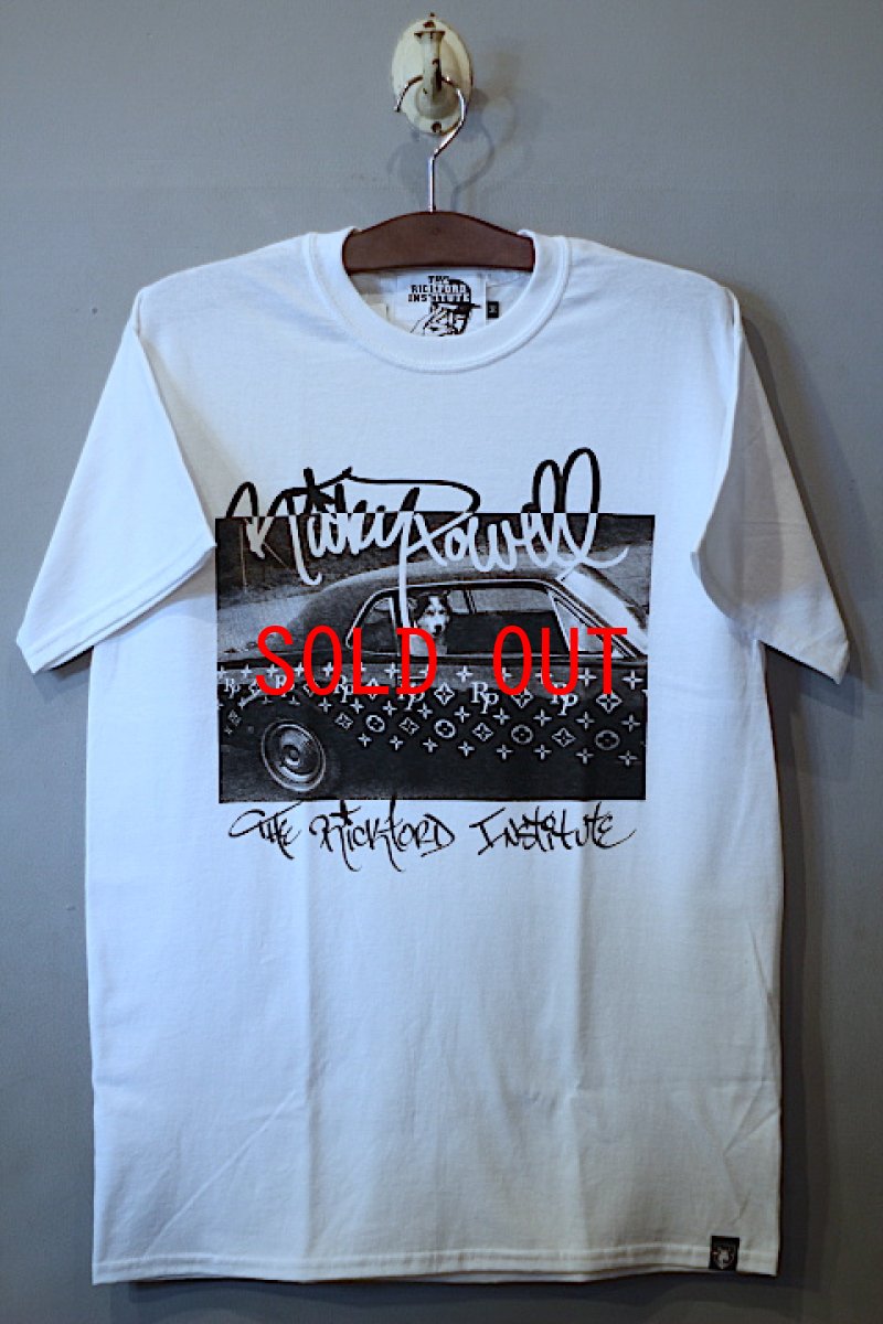 画像1: The Rickford Institute (ザ リックフォード インスティテュート ) S/S Catskill Tee White (1)