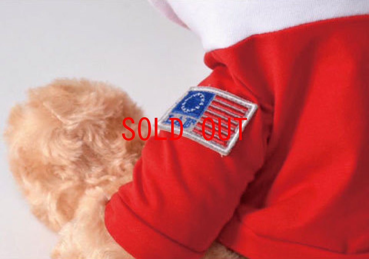 画像6: Lafayette(ラファイエット) × Interbreed(インターブリード) Lo Teddy Bear テディベア (6)