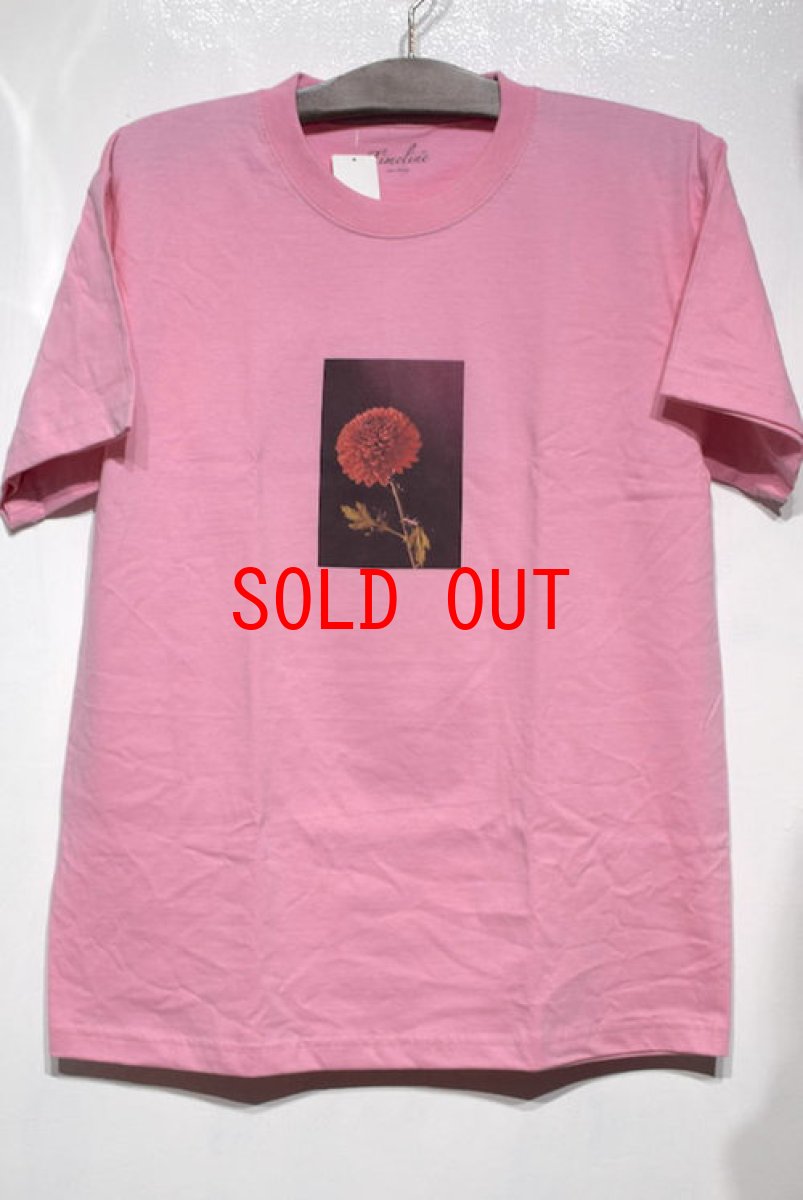画像2: Time Line(タイムライン) Truth S/S Tee Light Pink 半袖 Tシャツ (2)