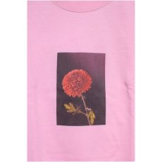 画像1: Time Line(タイムライン) Truth S/S Tee Light Pink 半袖 Tシャツ (1)