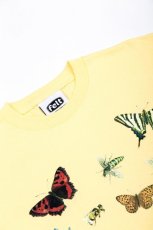 画像3: Butterfly Bee S/S Tee Yellow Tシャツ (3)