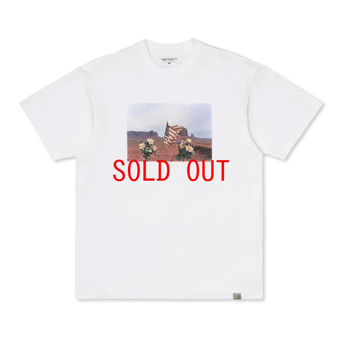 画像2: Matt Martin Flags S/S Tee Mountain White 半袖 Tシャツ (2)