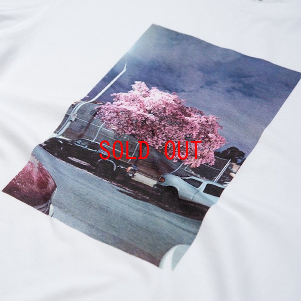 画像6: Matt Martin Blossom S/S Tee Mountain White 半袖 Tシャツ (6)