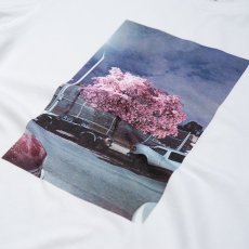 画像6: Matt Martin Blossom S/S Tee Mountain White 半袖 Tシャツ (6)