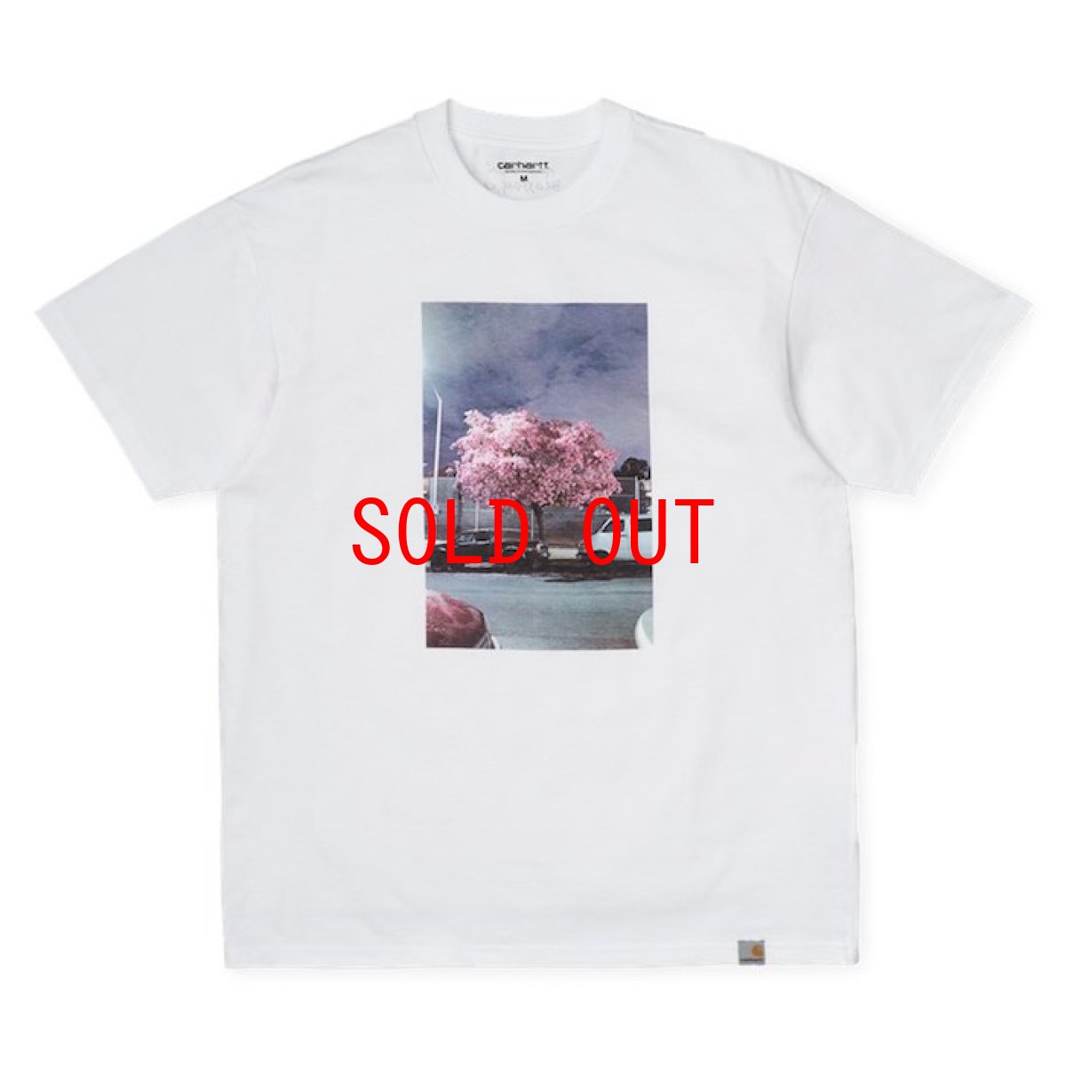 画像2: Matt Martin Blossom S/S Tee Mountain White 半袖 Tシャツ (2)