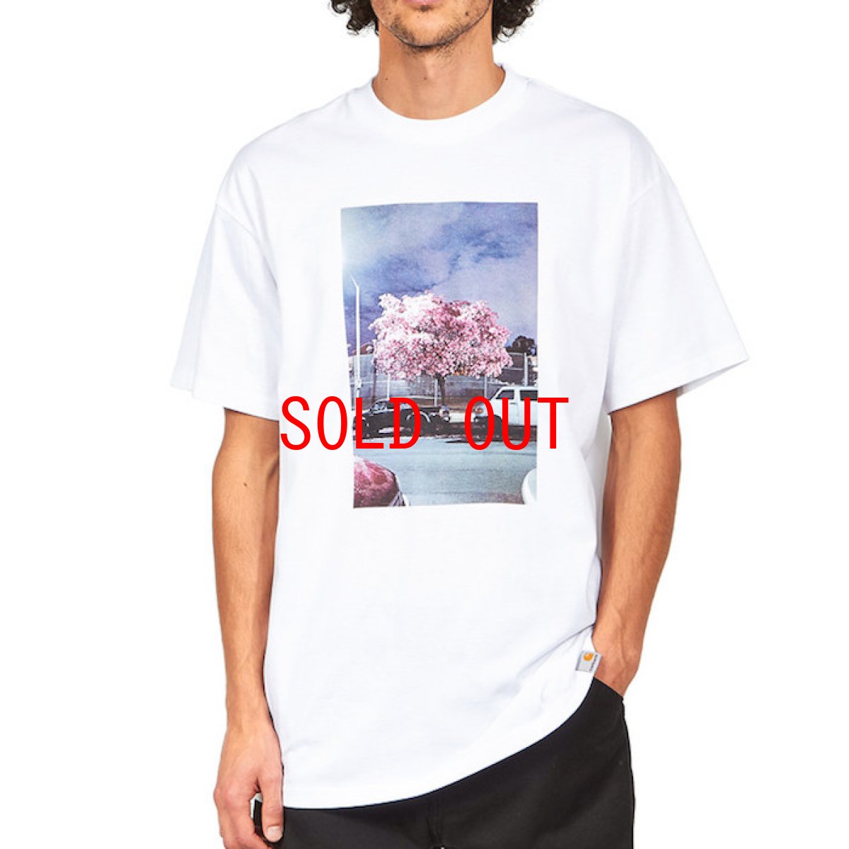 画像1: Matt Martin Blossom S/S Tee Mountain White 半袖 Tシャツ (1)