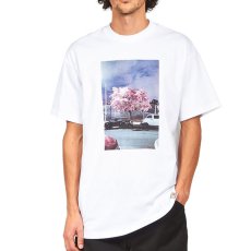 画像1: Matt Martin Blossom S/S Tee Mountain White 半袖 Tシャツ (1)