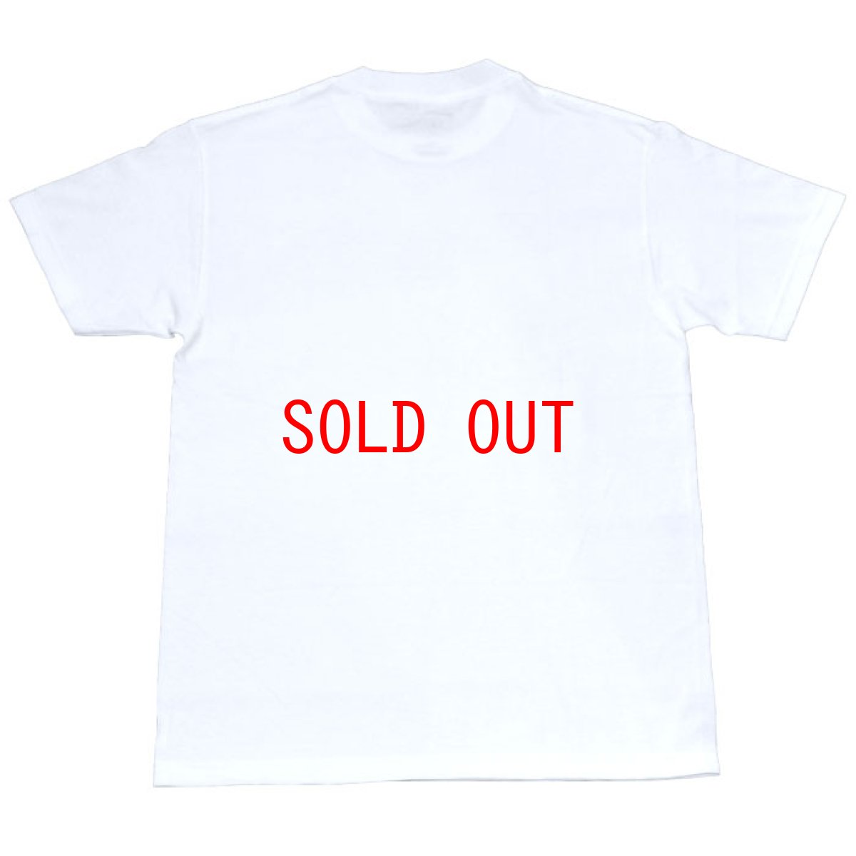 画像2: Troll S/S Tee 半袖 Tシャツ (2)