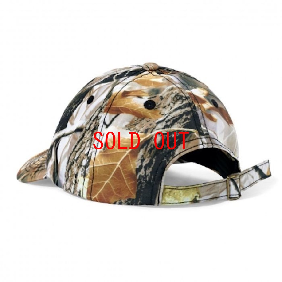 画像2: Field 6 Panel Cap パネル キャップ  (2)