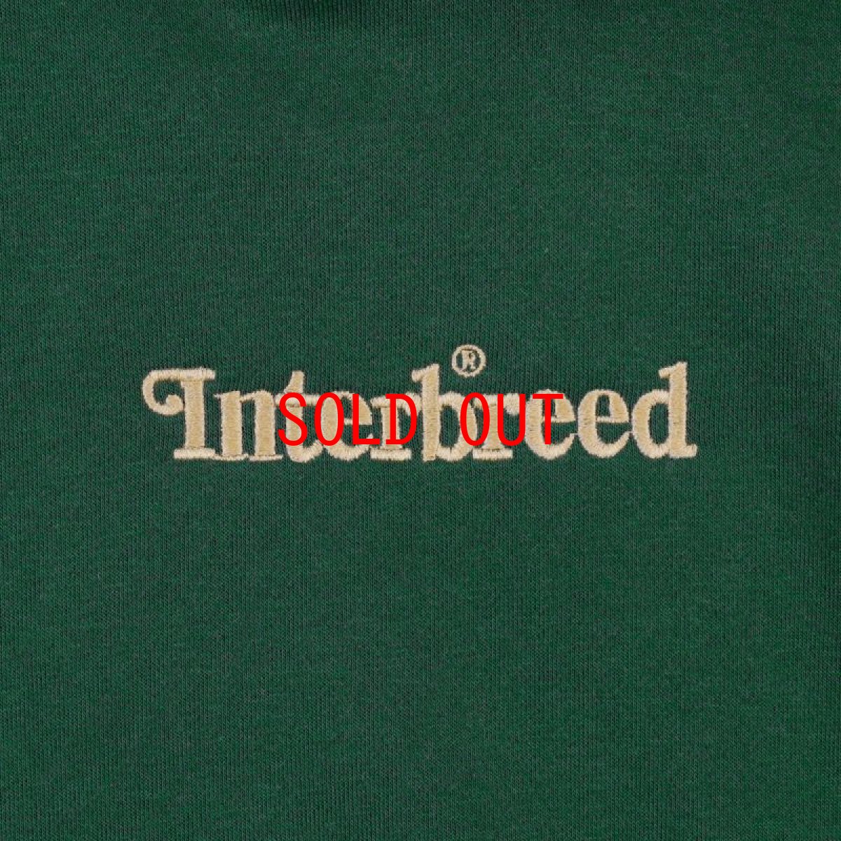 画像2: Embroidery Logo Sweat Hoodie Green スウェット フーディー パーカー  (2)