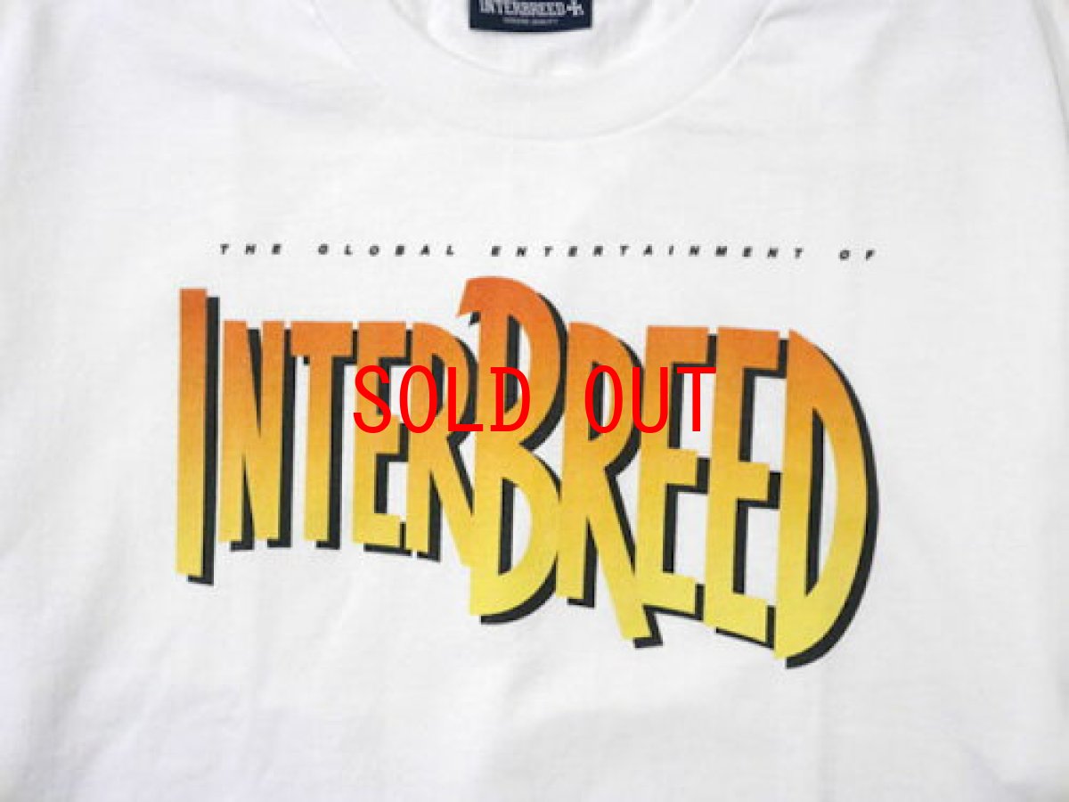 画像2: Storyteller S/S Tee Tシャツ Shirts White (2)