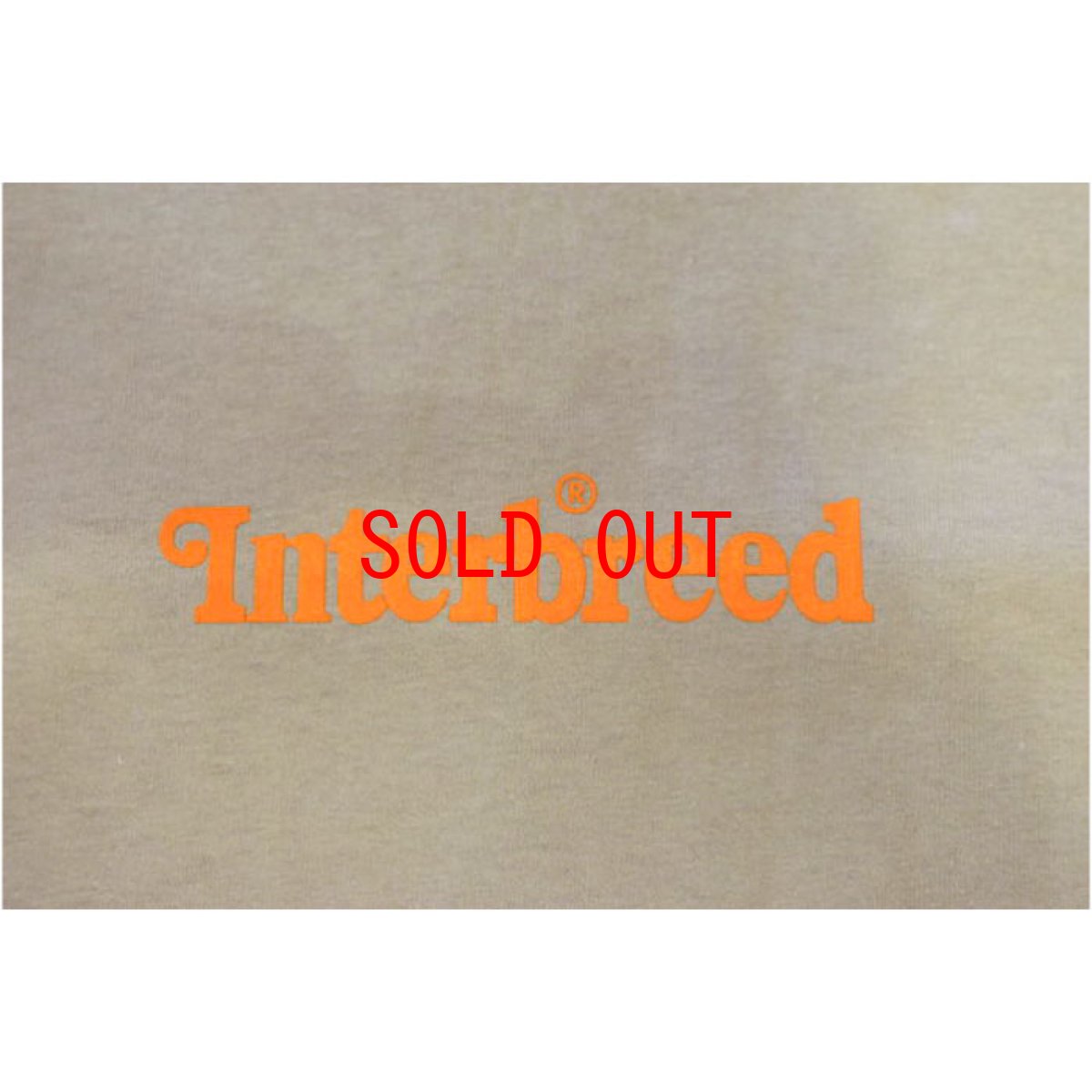 画像5: Archive Logo S/S Tee T-Shirt ロゴ Sand Tシャツ (5)