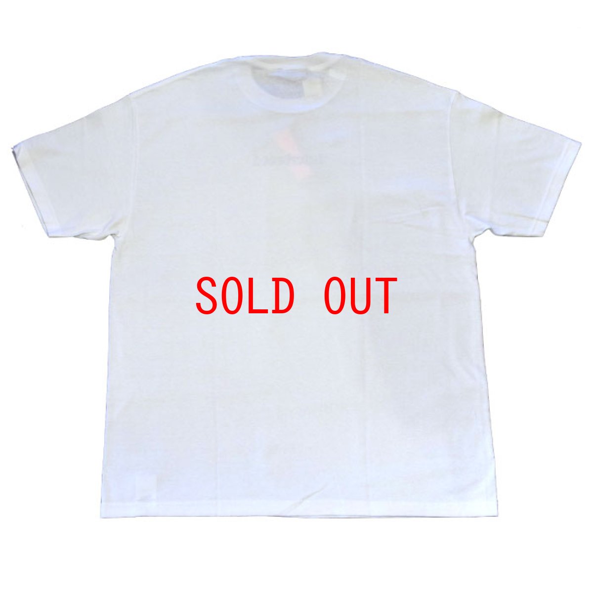 画像3: Archive Logo Tee T-Shirt ロゴ White Sand Tシャツ (3)