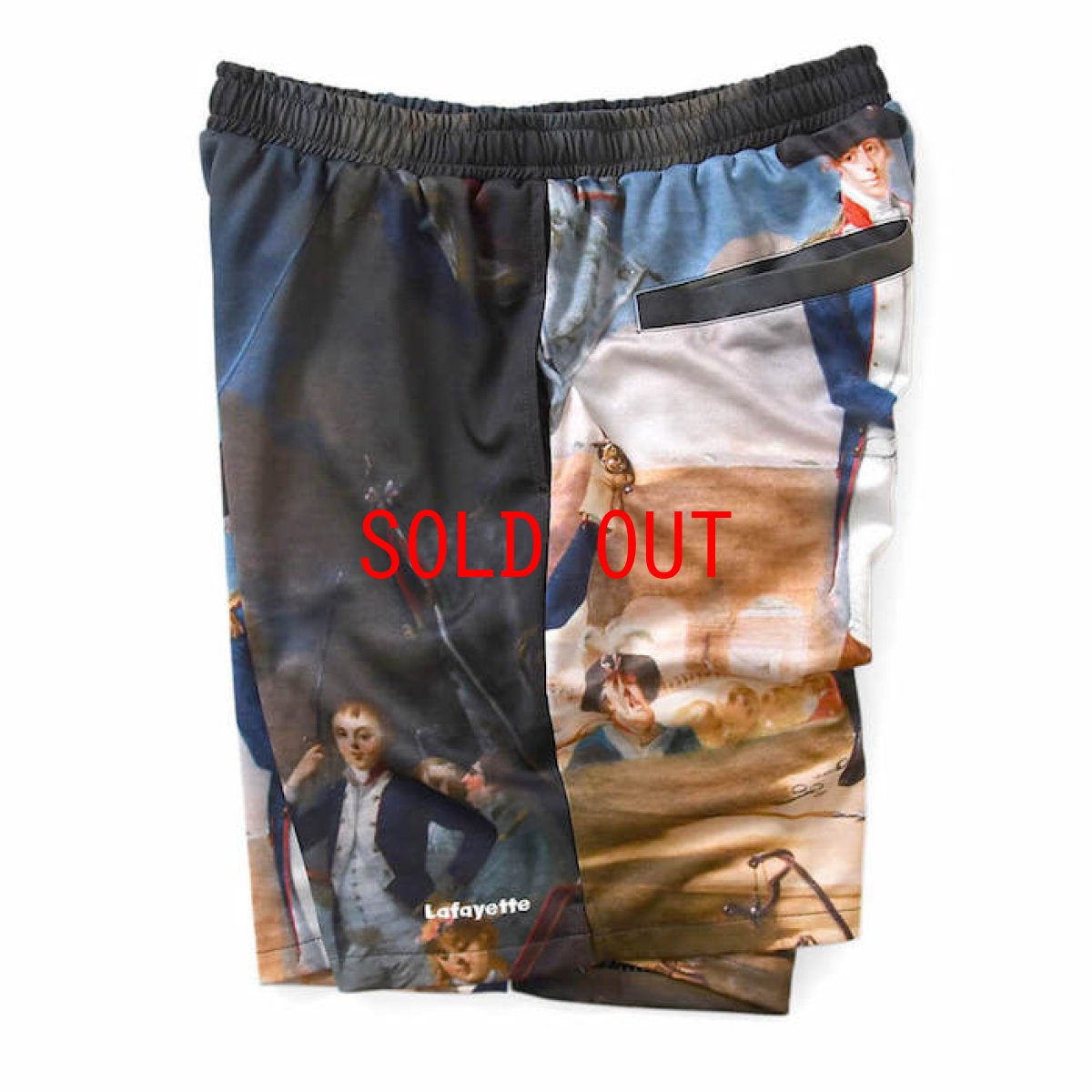 画像4: French Revolution Allover Mesh Short ショーツ ハーフパンツ  (4)