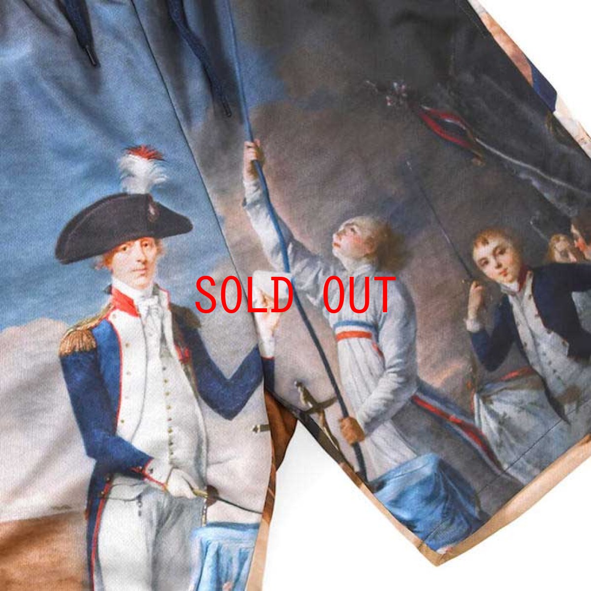 画像7: French Revolution Allover Mesh Short ショーツ ハーフパンツ  (7)