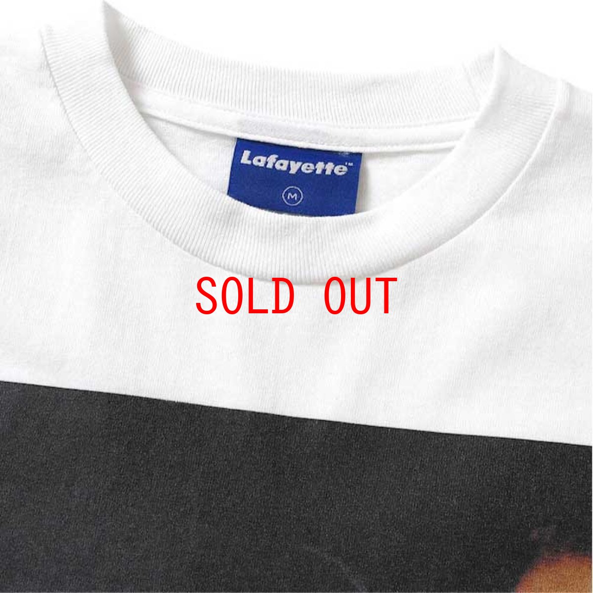 画像3: × Johnny Nunez Aaliyah アリーヤ  S/S Tee 半袖 ロゴ Tシャツ White ホワイト Black ブラック (3)