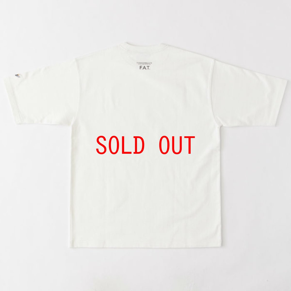 画像3: Alien S/S Tee 半袖 Tシャツ オーバーサイズ ヘビーオンス COMMONWEALTH  (3)