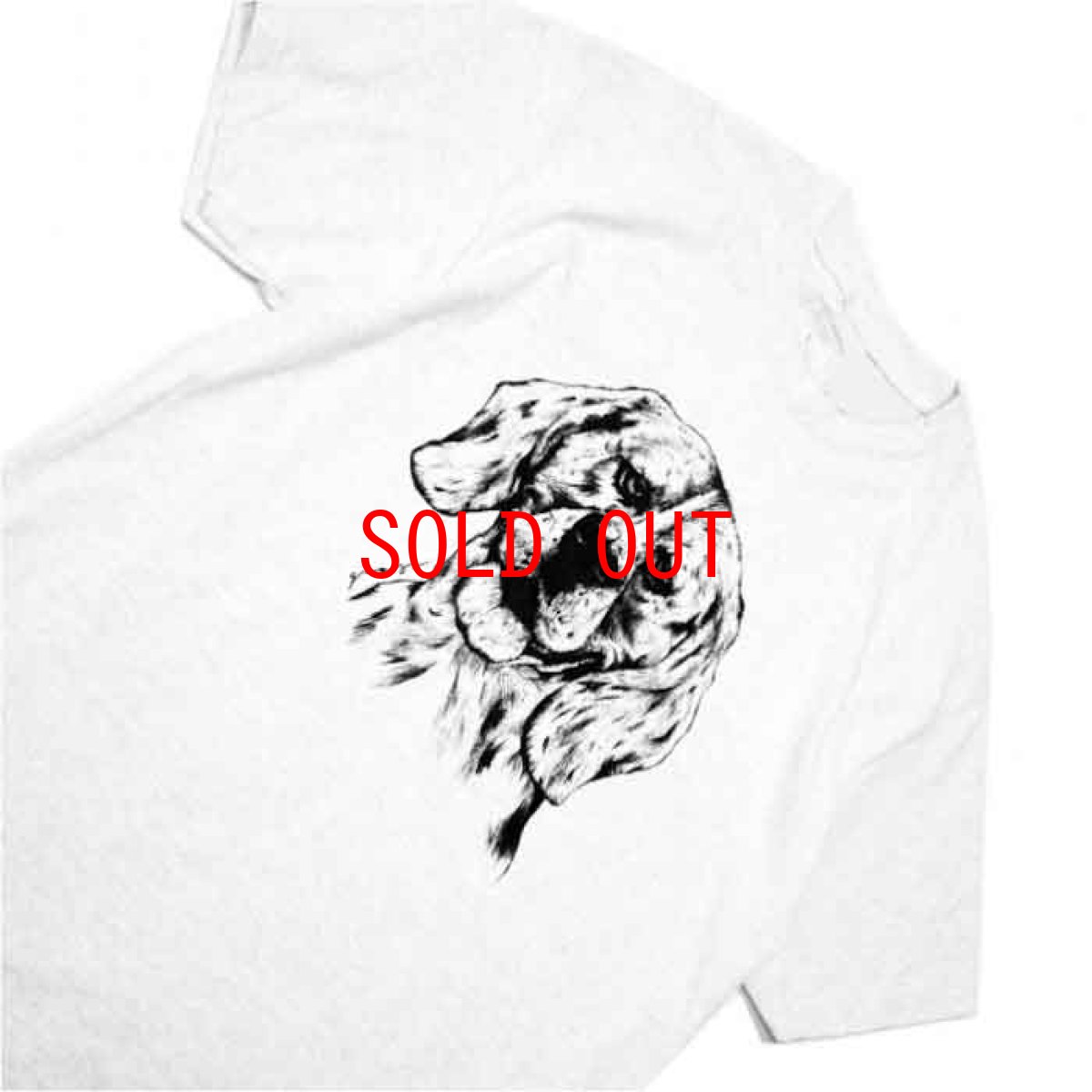 画像3: Special S/S Tee 半袖 Tシャツ Ash  (3)