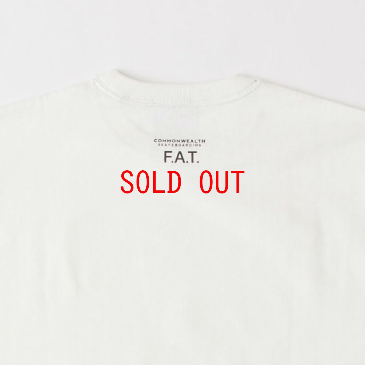 画像5: Alien S/S Tee 半袖 Tシャツ オーバーサイズ ヘビーオンス COMMONWEALTH  (5)