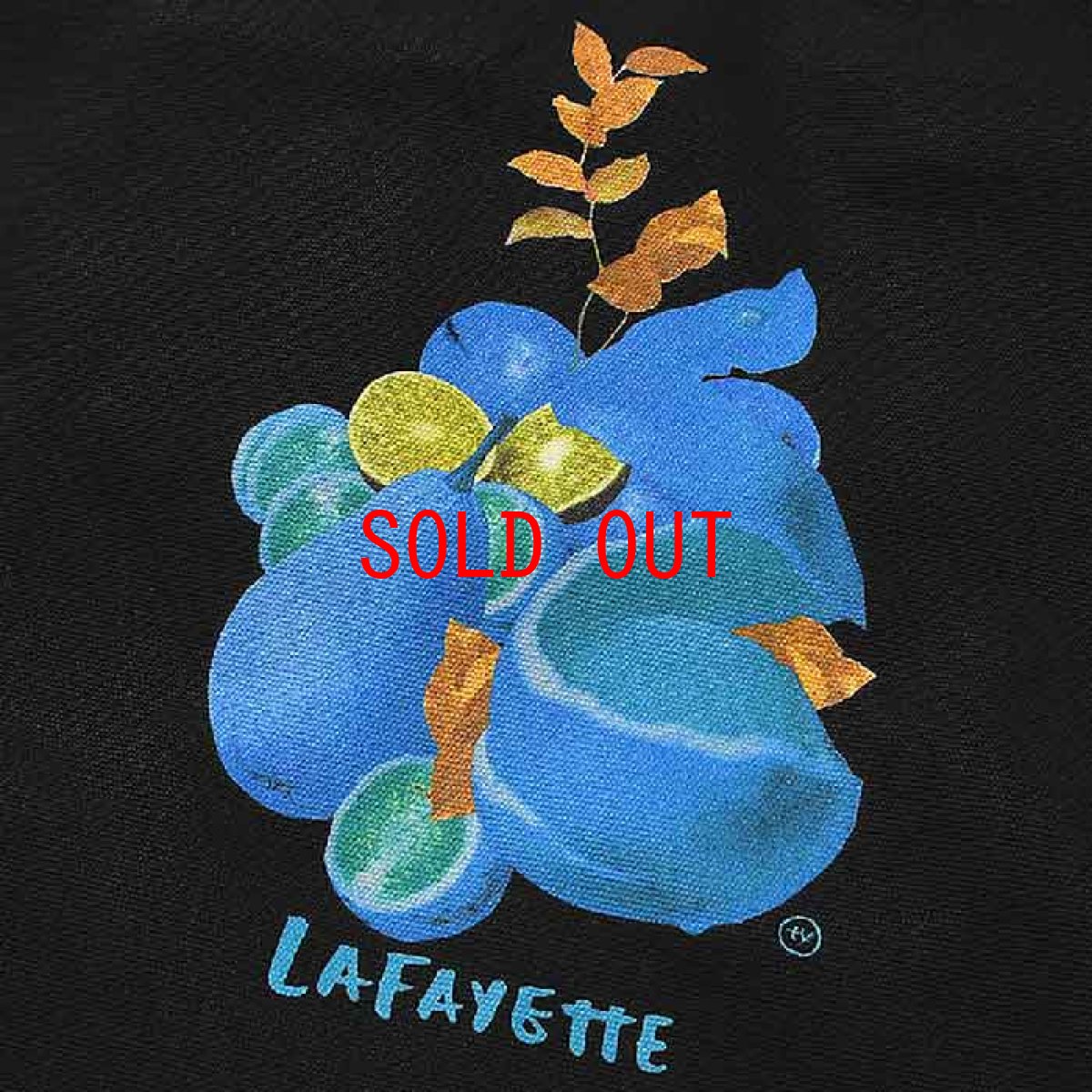 画像5: × Takayuki Yamada Fruit Tote Bag トート バック by Lafayette ラファイエット  (5)