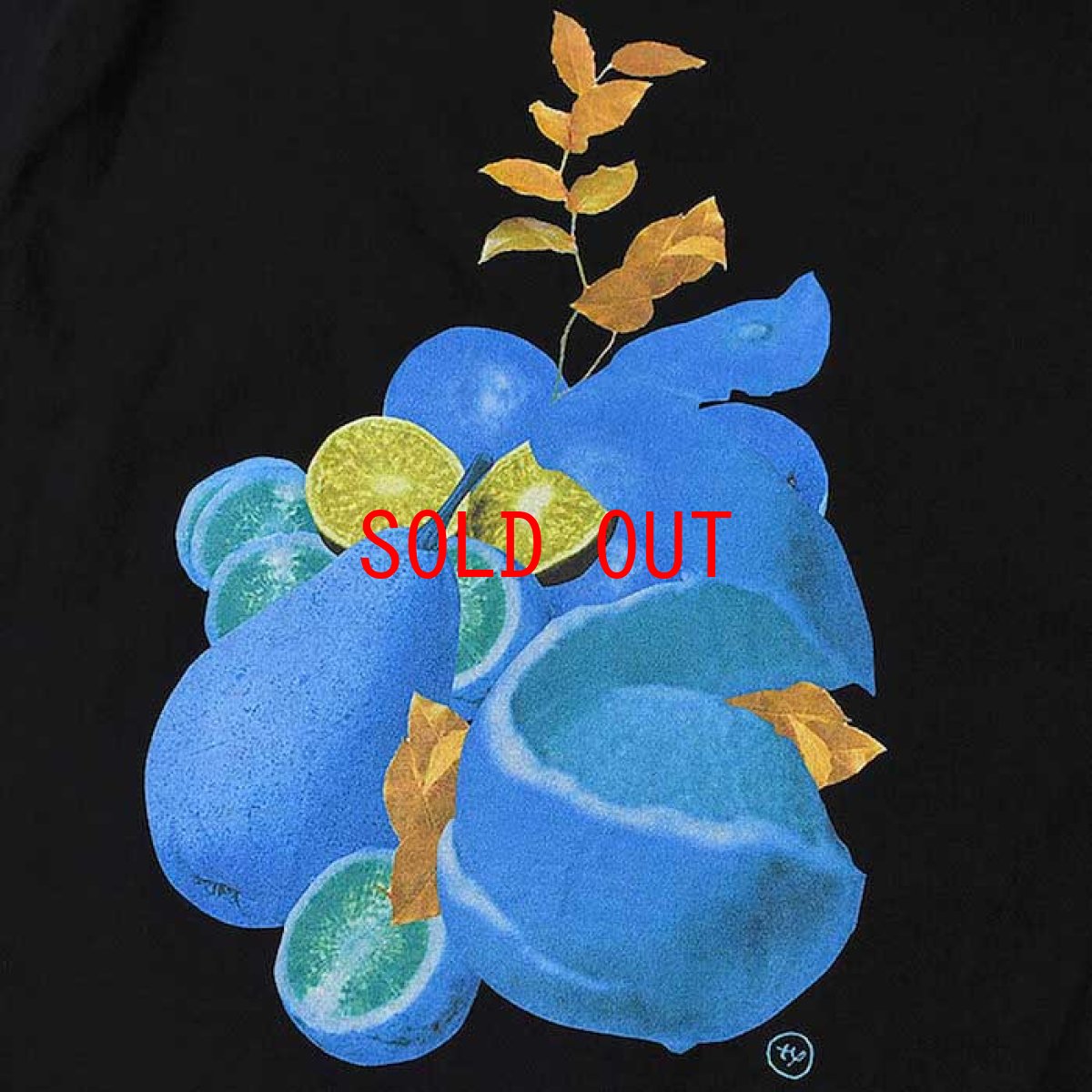 画像3: × Takayuki Yamada Fruit S/S Tee 半袖 Tシャツ by Lafayette ラファイエット  (3)