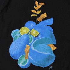 画像3: × Takayuki Yamada Fruit S/S Tee 半袖 Tシャツ by Lafayette ラファイエット  (3)