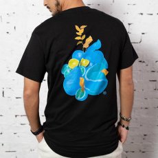 画像5: × Takayuki Yamada Fruit S/S Tee 半袖 Tシャツ by Lafayette ラファイエット  (5)