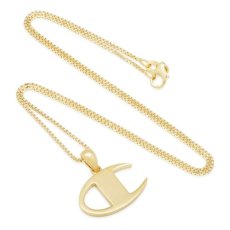 画像1: × Champion Heritage 925 Gold Necklace Logo チャンピオン ネックレス (1)