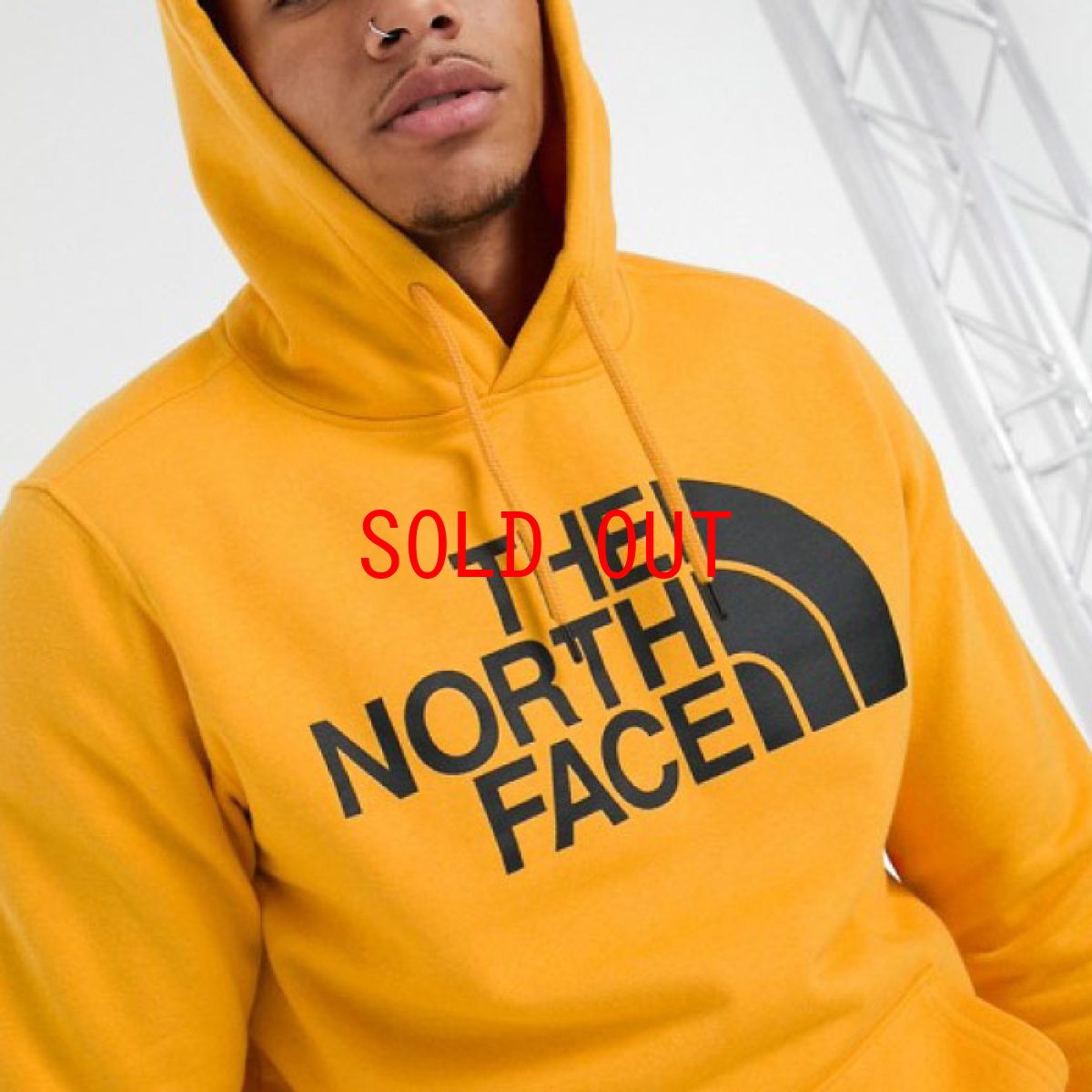 画像7: US Limited Half Dome Pullover Sweat Hoodie プルオーバー スウェット フーディー パーカー 海外限定 (7)