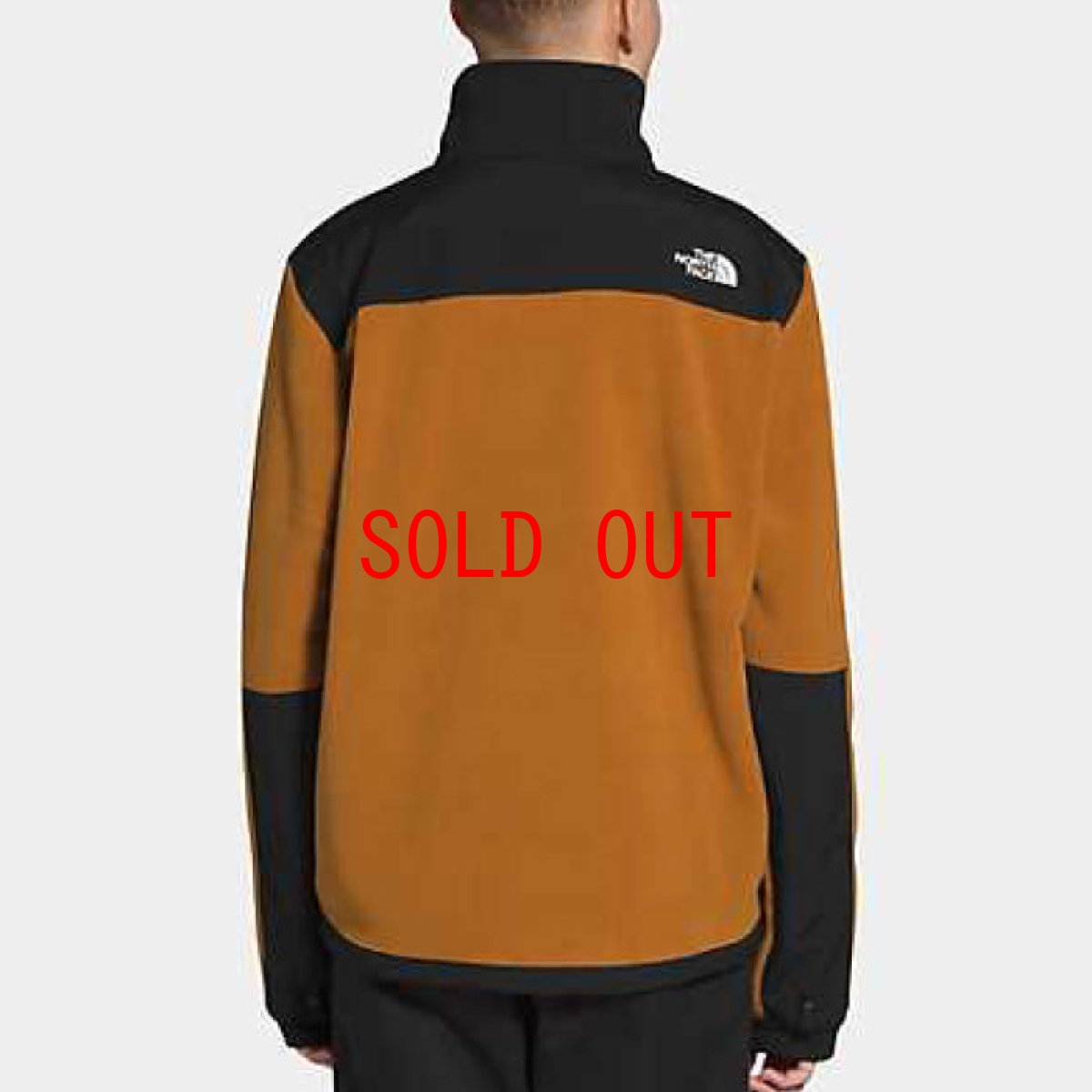 画像5: US Limited Denali 2 Jacket デナリ ジャケット レトロ Timber Tan Brown タン ブラウン Fleece フリース 海外限定 (5)