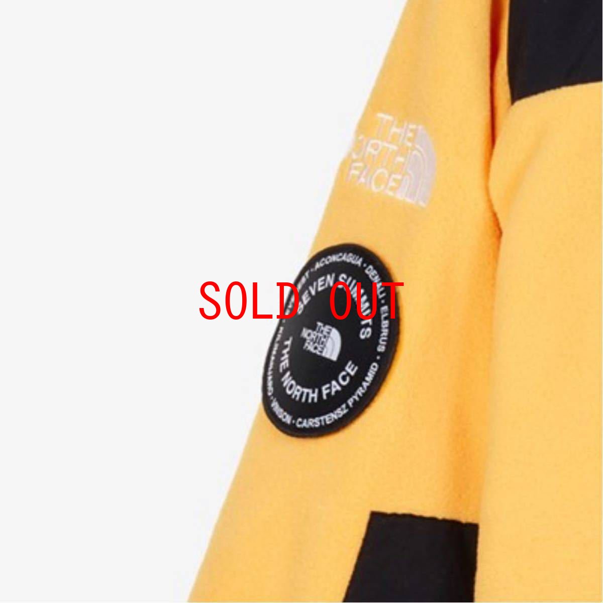 画像6: US Limited 7 Summits Collection 7SE 95 Retro Denali Jacket サミット コレクション デナリ ジャケット レトロ Yellow Black Fleece フリース 海外限定 (6)