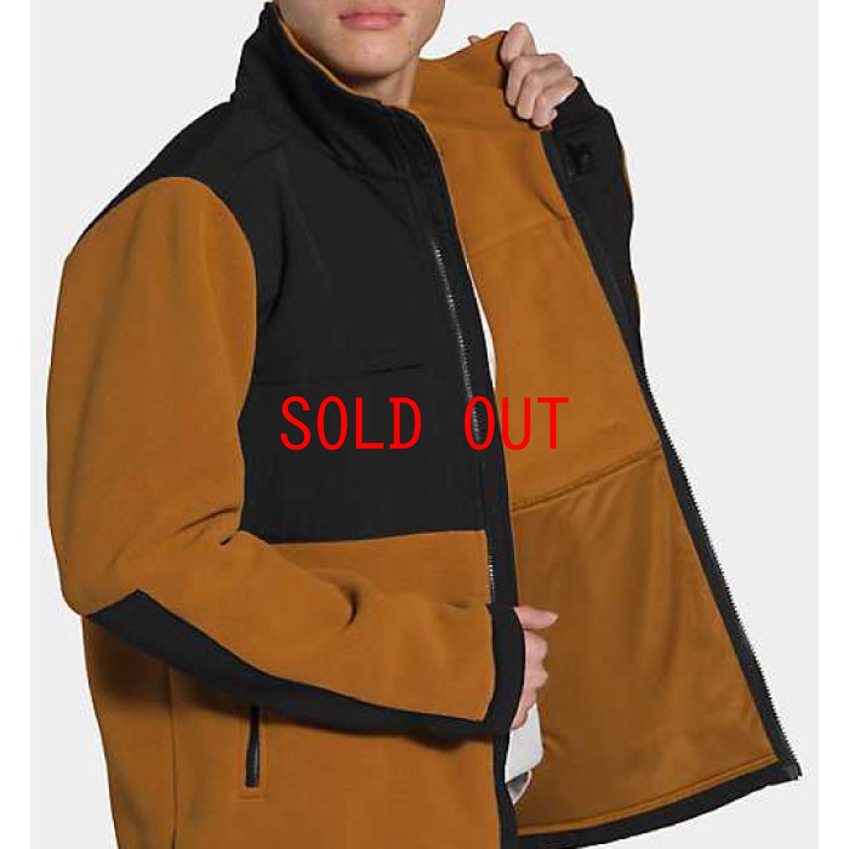 画像7: US Limited Denali 2 Jacket デナリ ジャケット レトロ Timber Tan Brown タン ブラウン Fleece フリース 海外限定 (7)
