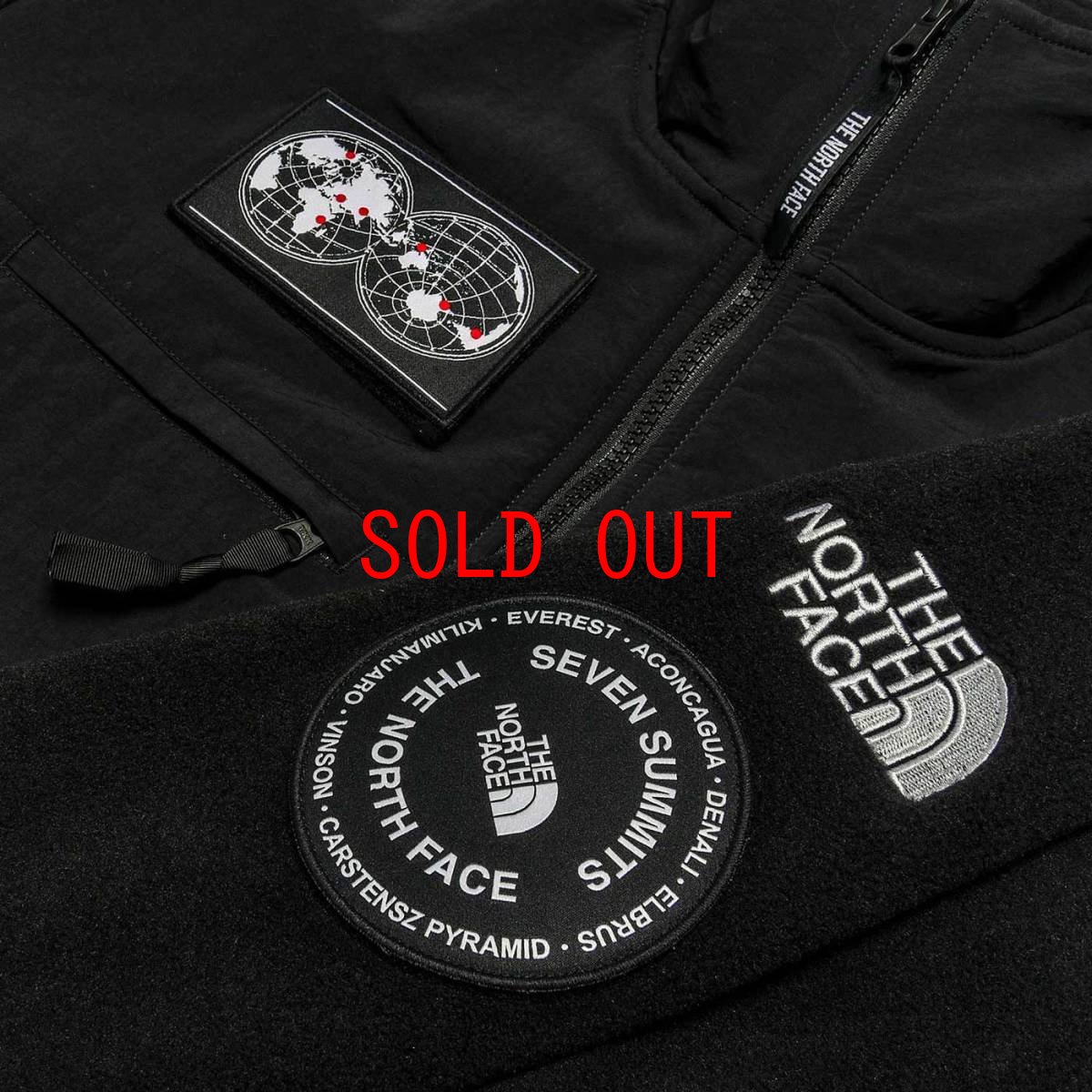 画像2: US Limited 7 Summits Collection 7SE 95 Retro Denali Jacket サミット コレクション デナリ ジャケット レトロ Timber Tan Fleece フリース 海外限定 (2)