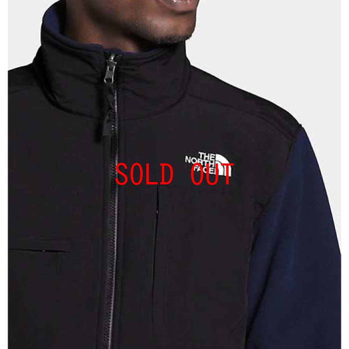 画像6: US Limited Denali 2 Jacket デナリ ジャケット レトロ TNF Navy ネイビー Fleece フリース 海外限定 (6)