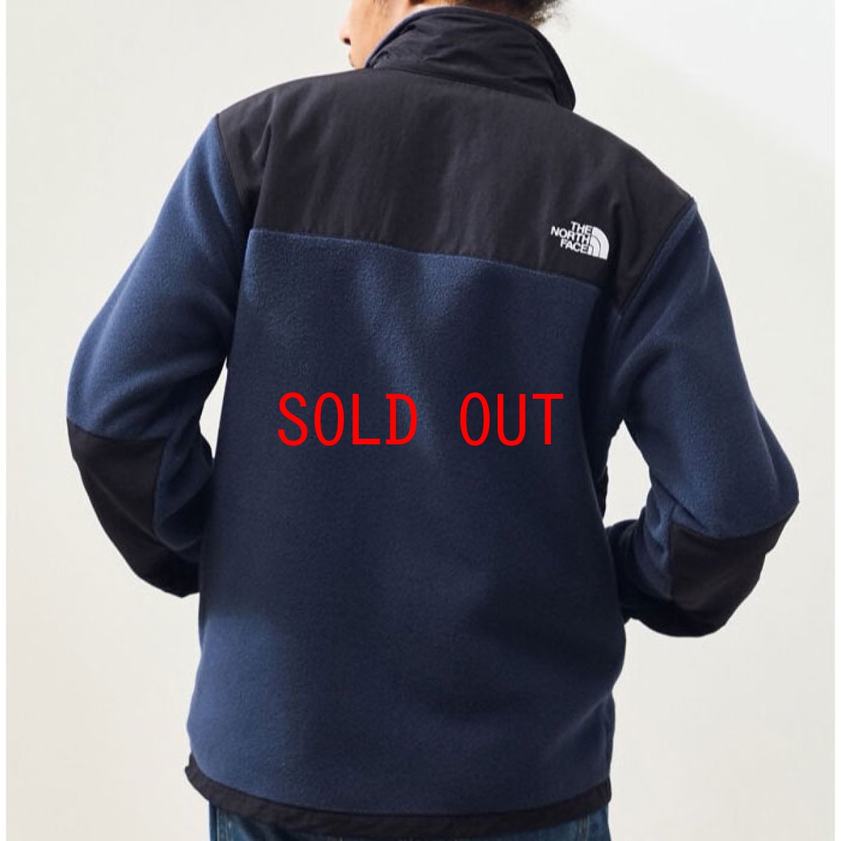 画像4: US Limited Denali 2 Jacket デナリ ジャケット レトロ TNF Navy ネイビー Fleece フリース 海外限定 (4)