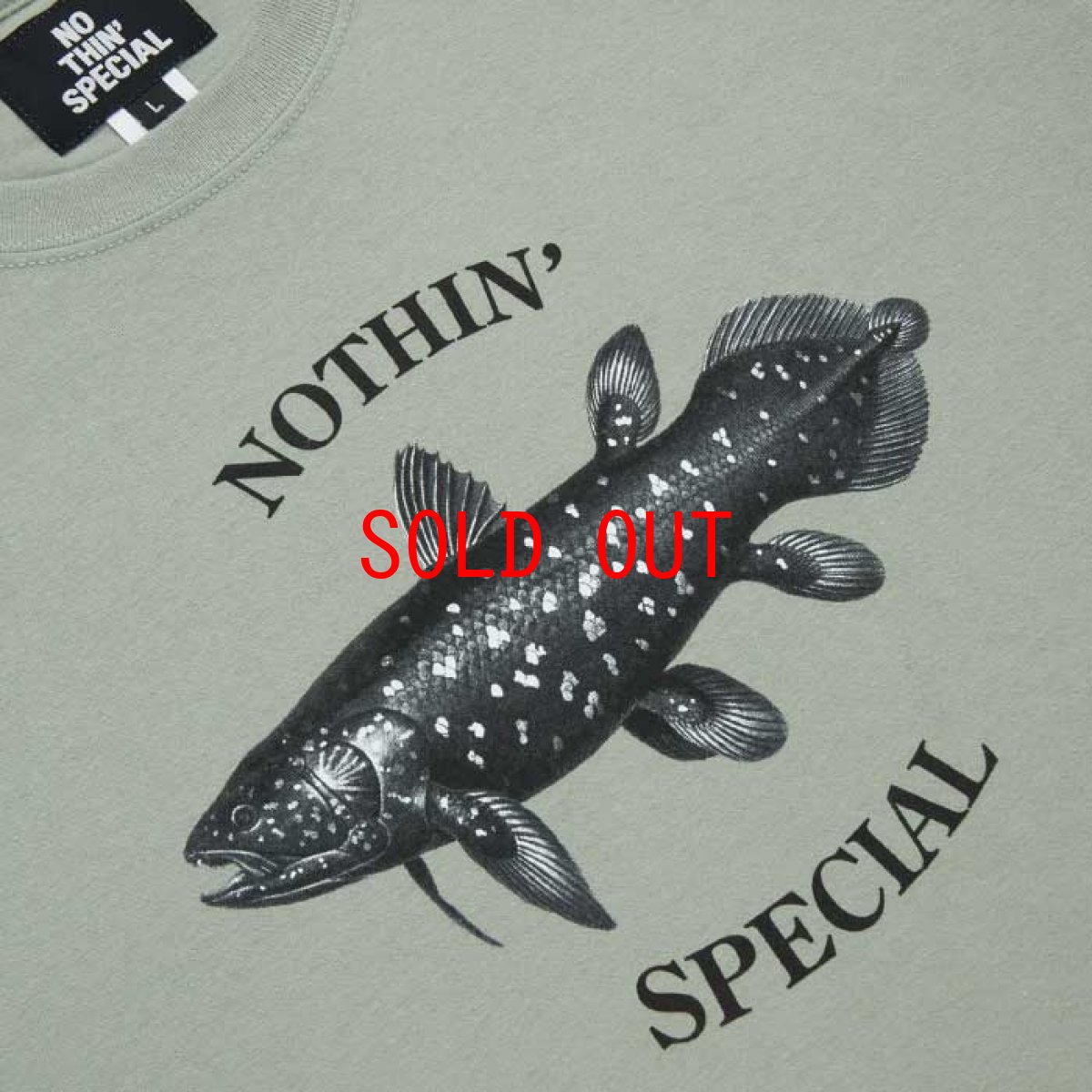 画像3: Coelacanth L/S Tee Washed Green シーラカンス 長袖 Tシャツ (3)