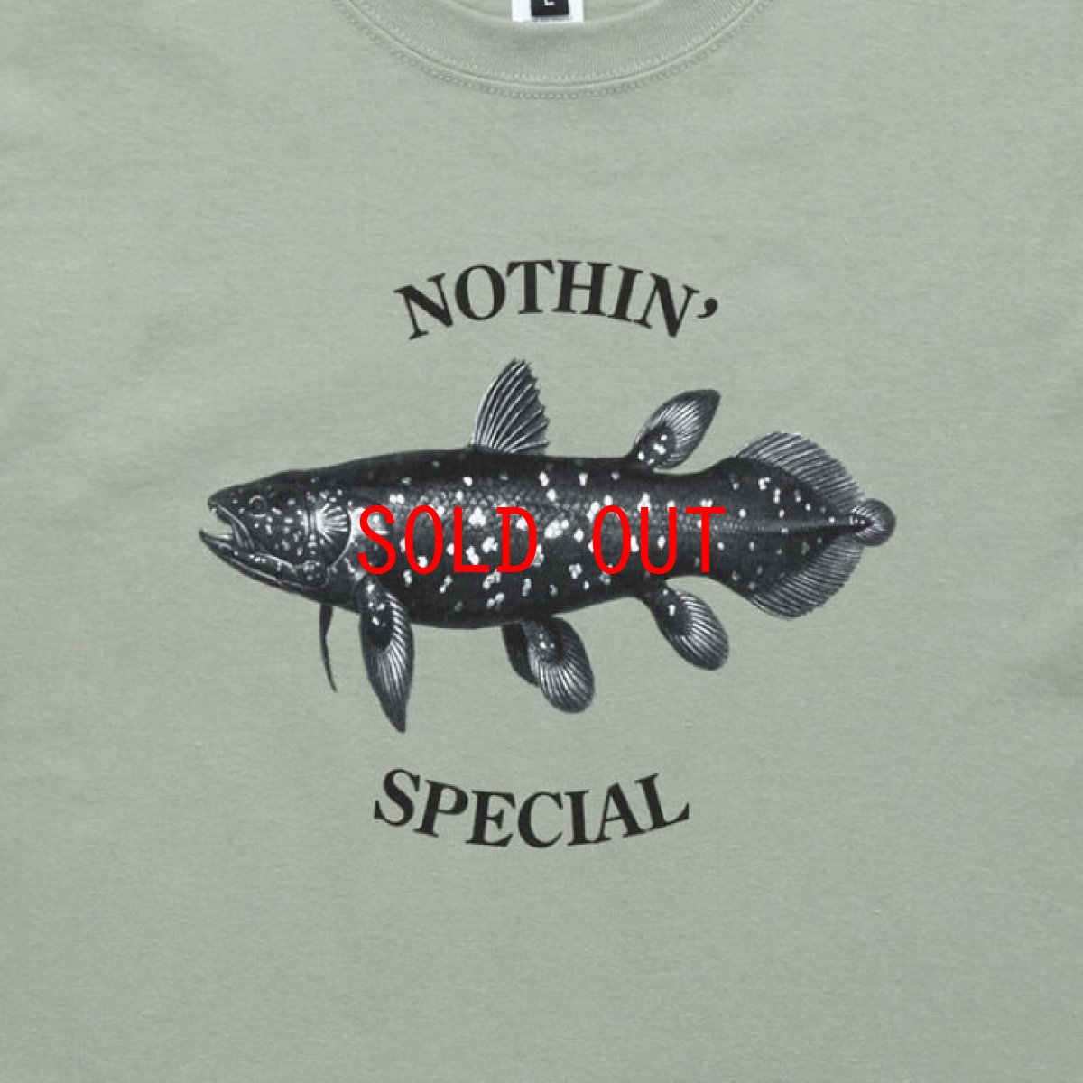 画像4: Coelacanth L/S Tee Washed Green シーラカンス 長袖 Tシャツ (4)