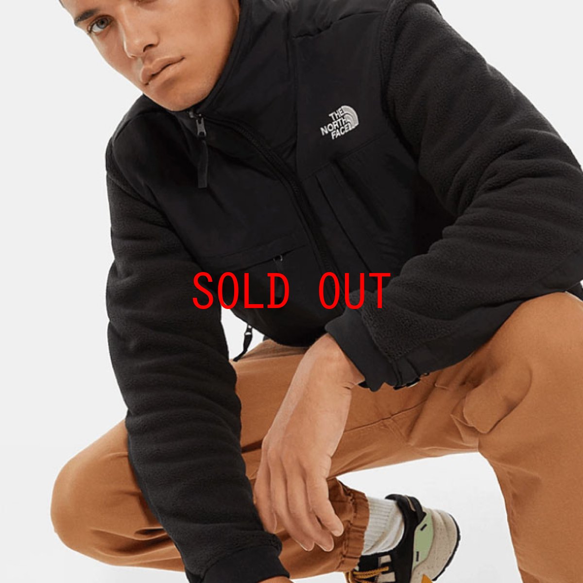 画像10: US Limited Denali 2 Jacket デナリ ジャケット レトロ Black Fleece フリース ブラック 海外限定 (10)