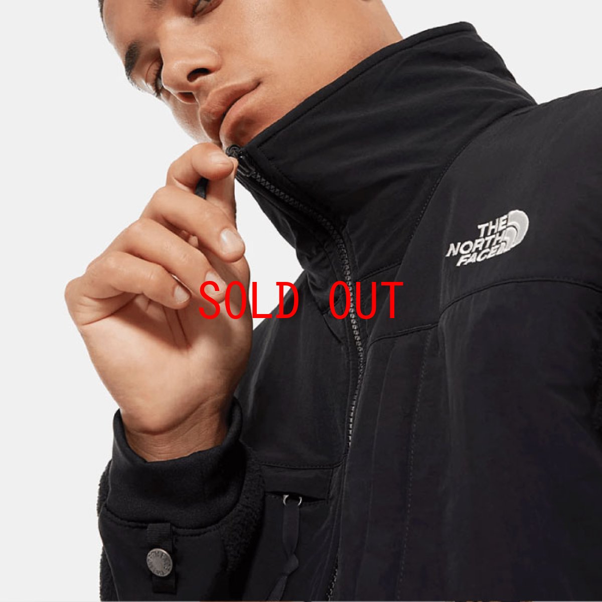 画像9: US Limited Denali 2 Jacket デナリ ジャケット レトロ Black Fleece フリース ブラック 海外限定 (9)