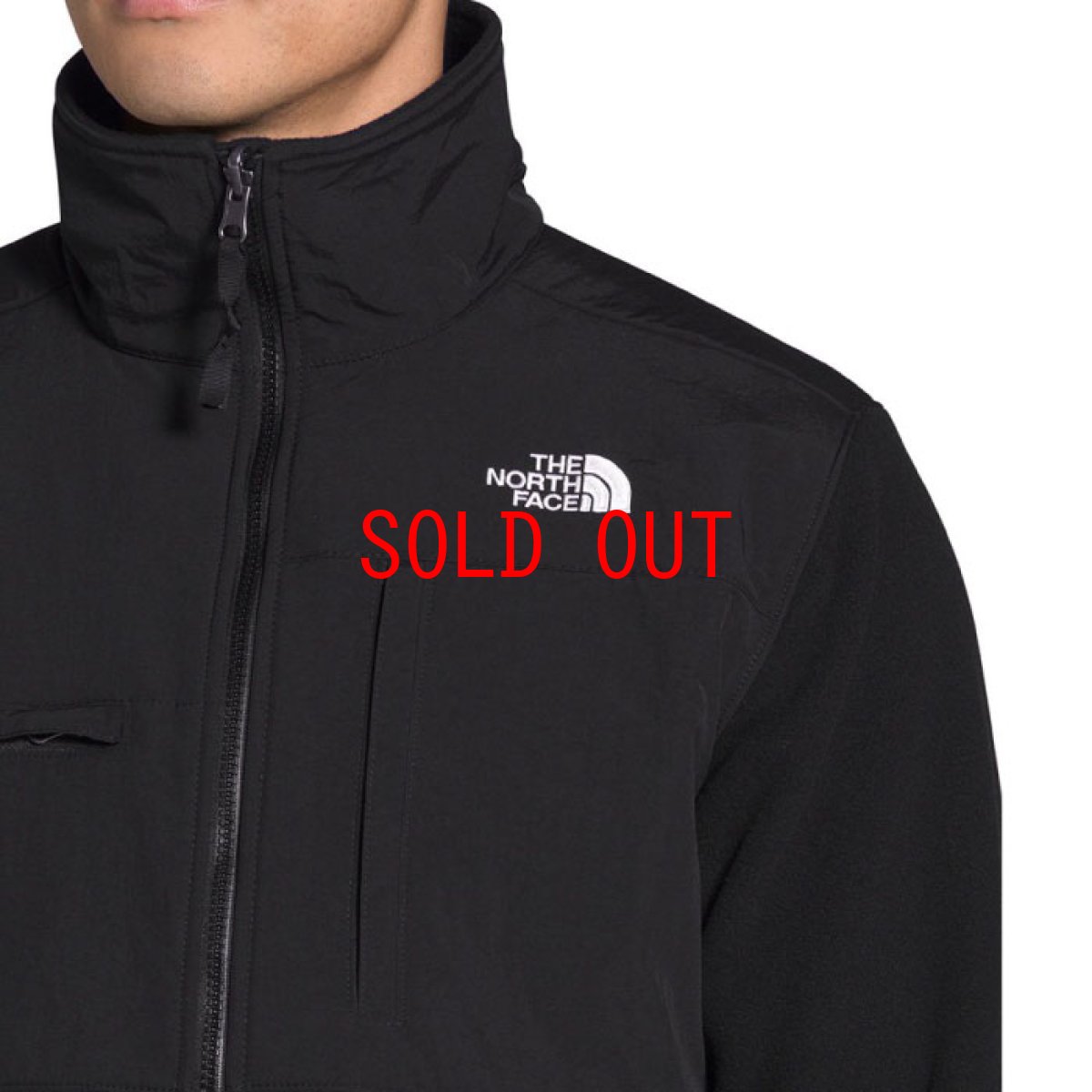 画像8: US Limited Denali 2 Jacket デナリ ジャケット レトロ Black Fleece フリース ブラック 海外限定 (8)
