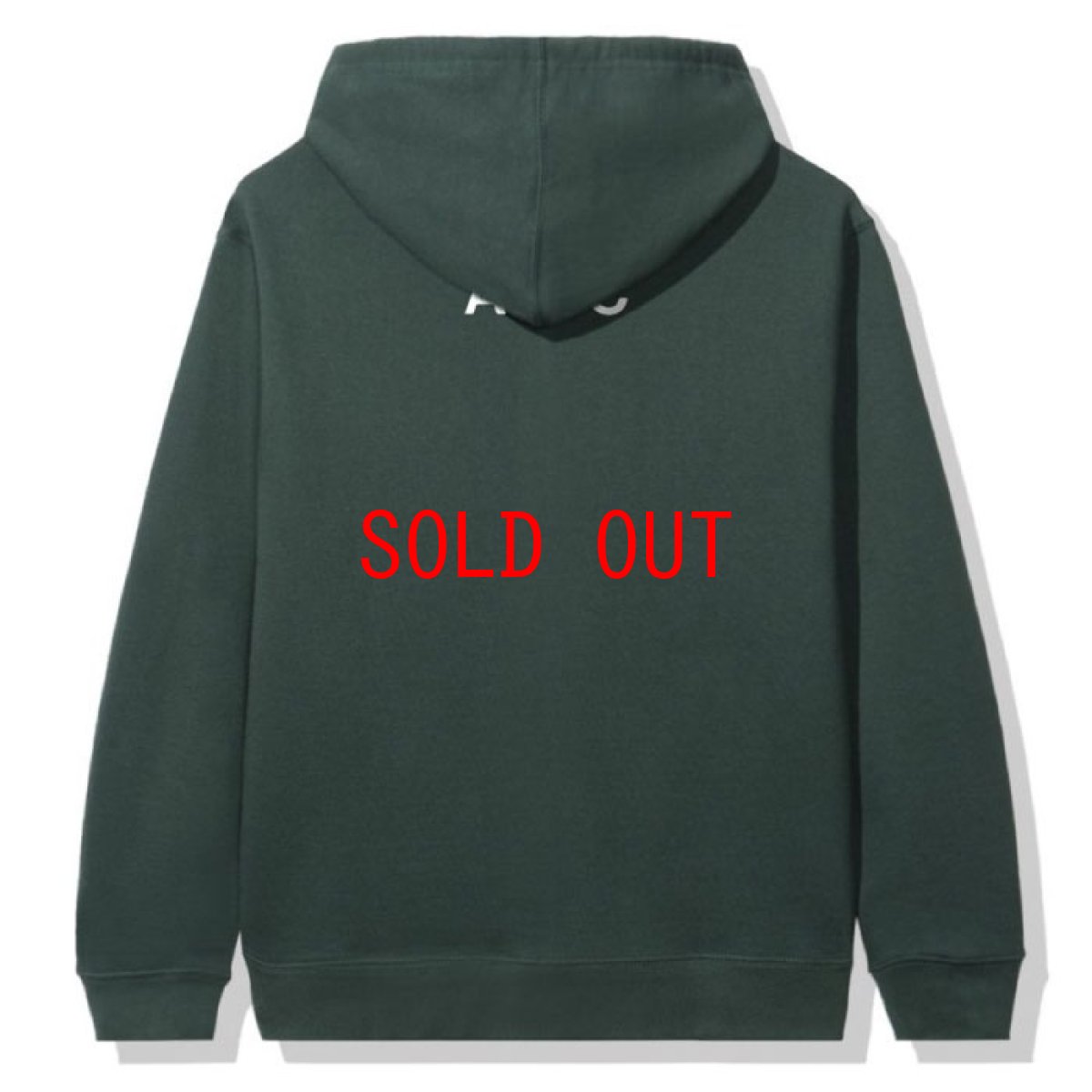 画像3: × CPFM Cactus embroidery Logo Sweat Hood 刺繍 スウェット フーディー パーカー Green assc (3)