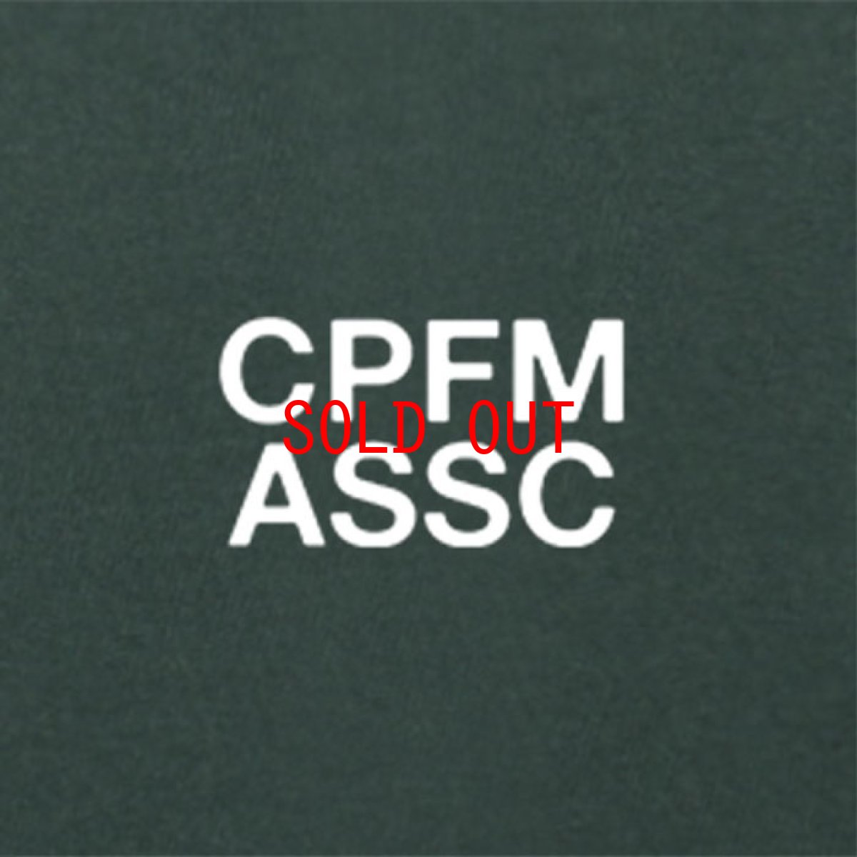 画像5: × CPFM Cactus embroidery Logo Sweat Hood 刺繍 スウェット フーディー パーカー Green assc (5)