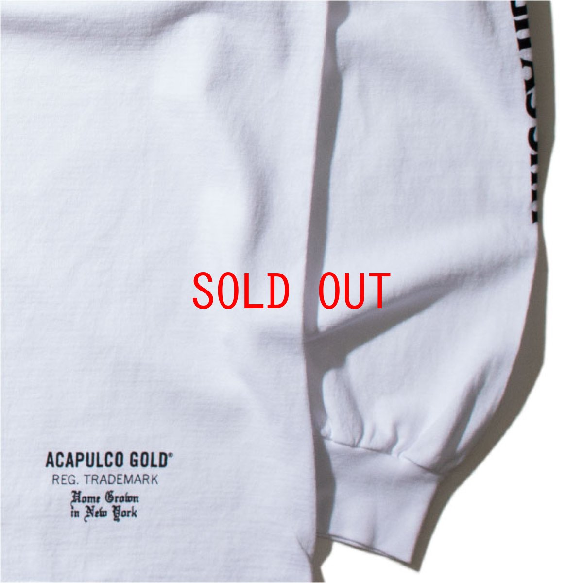 画像2: Lumber Jack Pocket L/S Tee 長袖 ブルックリン ロングスリーブ ランバージャック ポケット フランネル チェック Tシャツ White ホワイト (2)