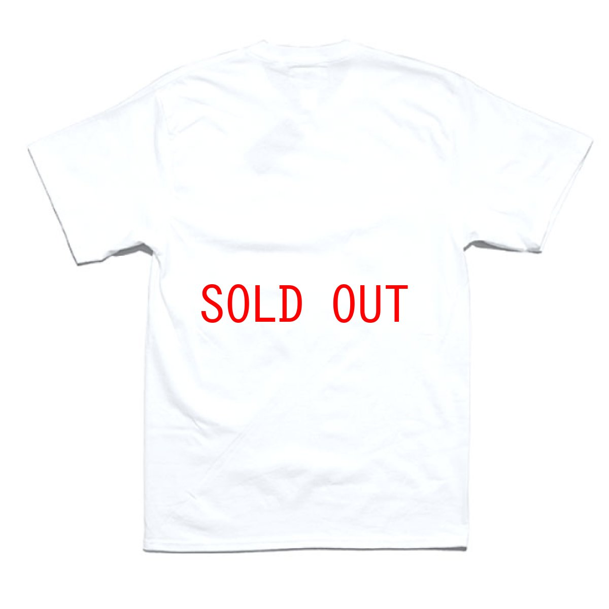 画像2: Pill Case S/S Tee ピルケース 半袖 Tシャツ VIC◯DIN White ホワイト (2)