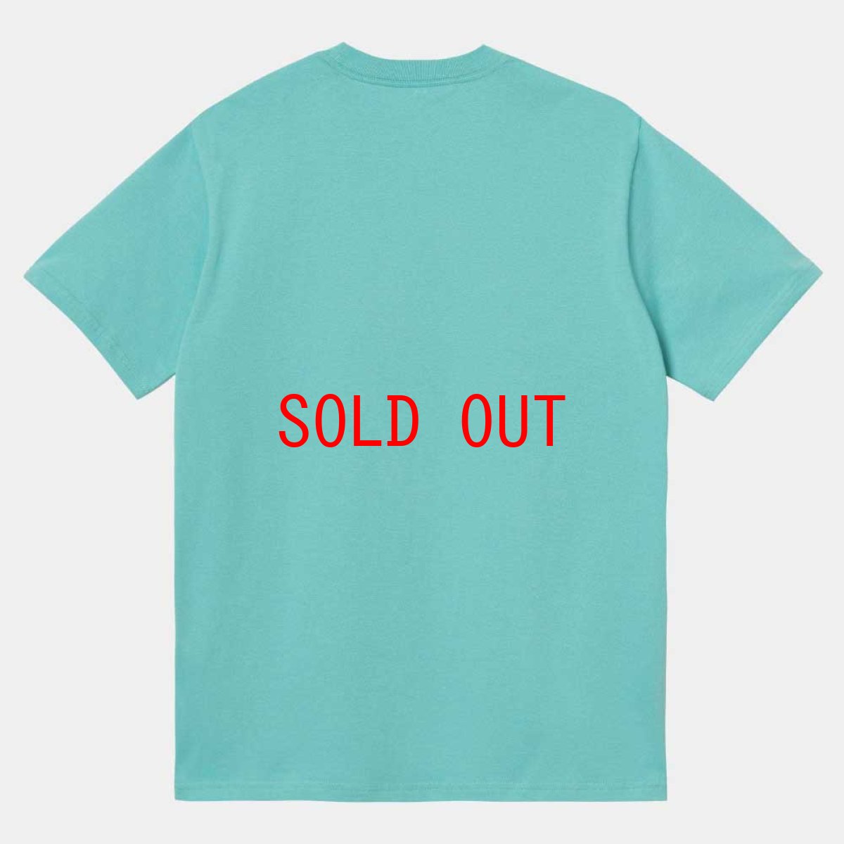 画像2: ILL World embroidery S/S Tee 刺繍 ワンポイント ロゴ 半袖 Tシャツ Bondi Mint Green ミント グリーン (2)