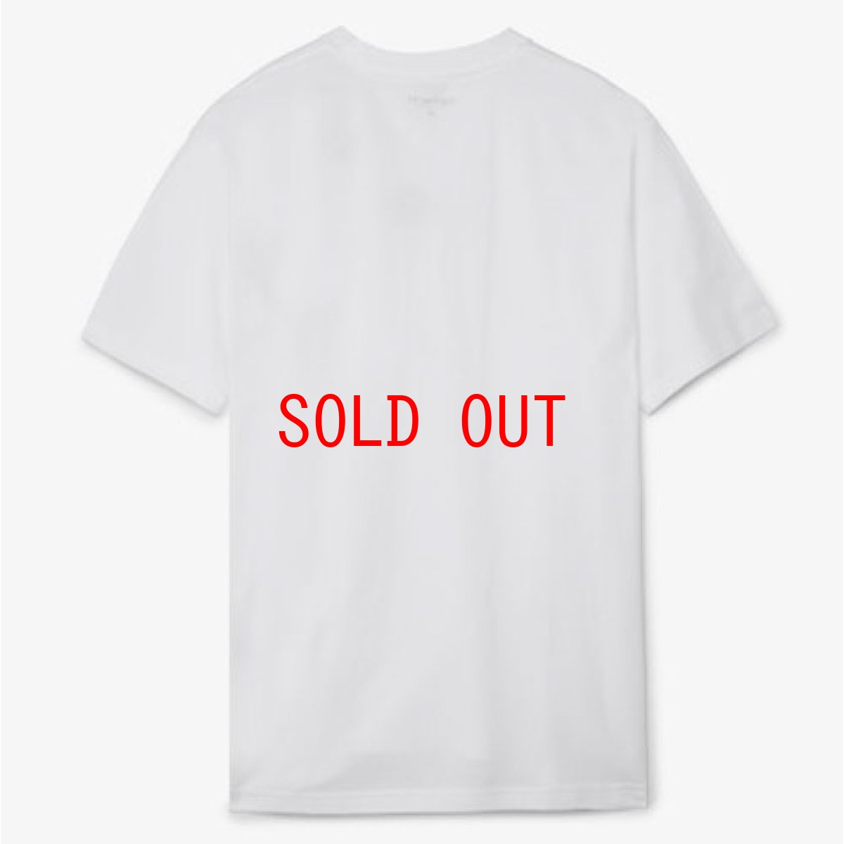 画像3: Sphinx S/S Tee スフィンクス フォト 半袖 Tシャツ White ホワイト (3)